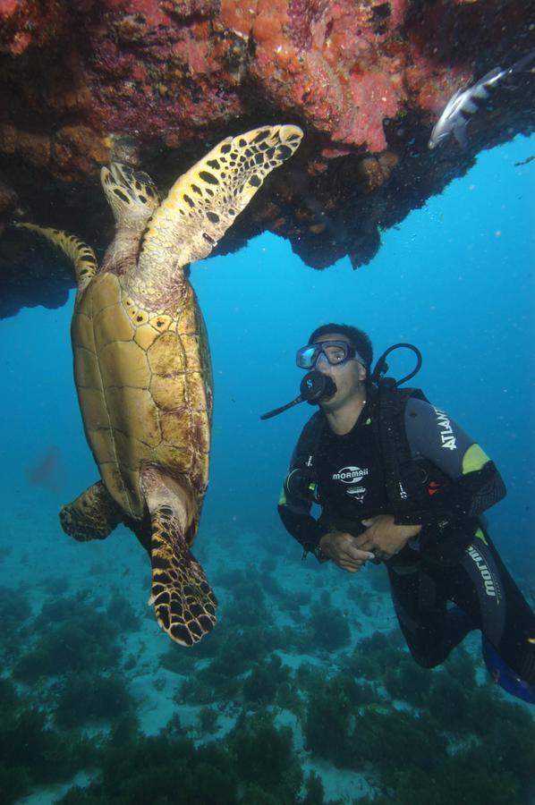 Pousada Boldro Home Fernando de Noronha Zewnętrze zdjęcie