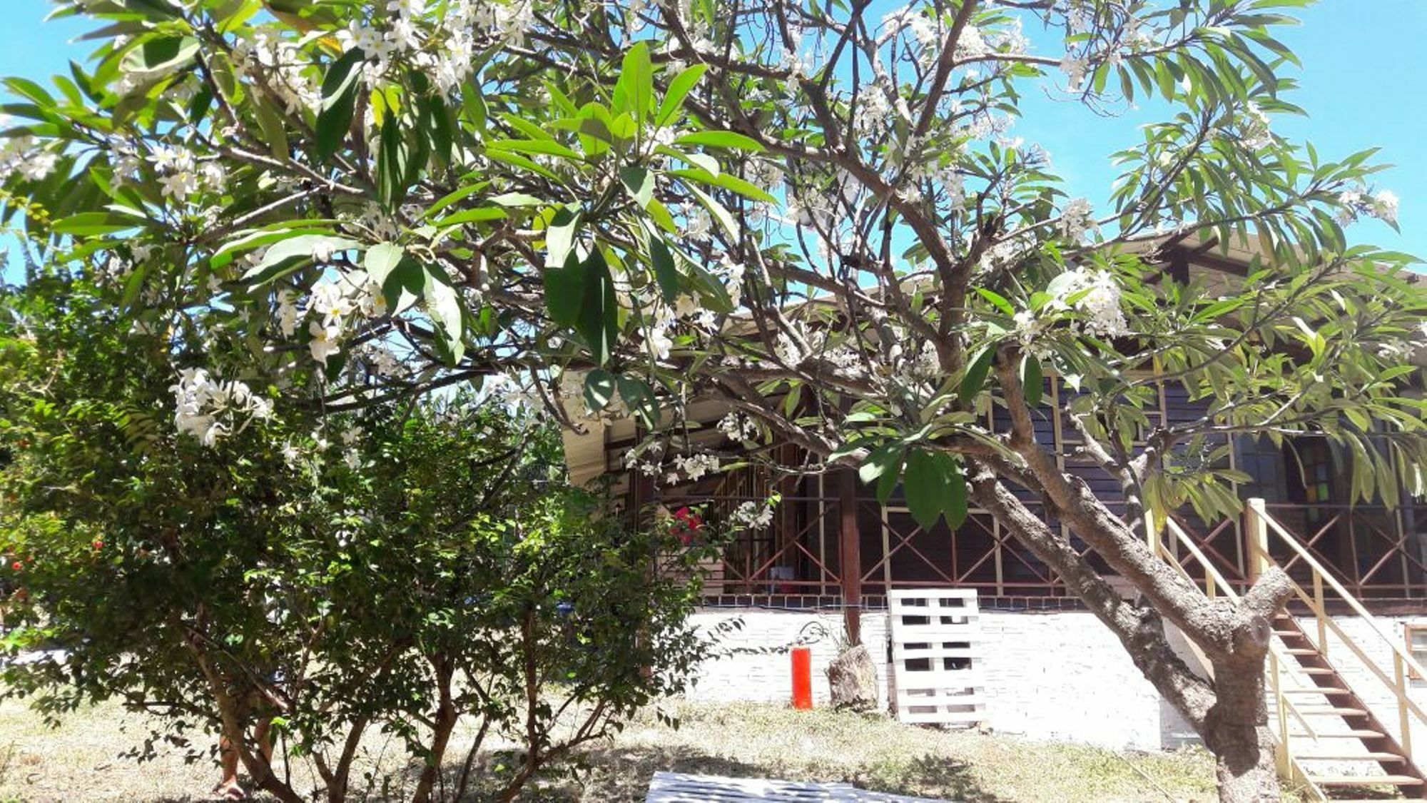 Pousada Boldro Home Fernando de Noronha Zewnętrze zdjęcie